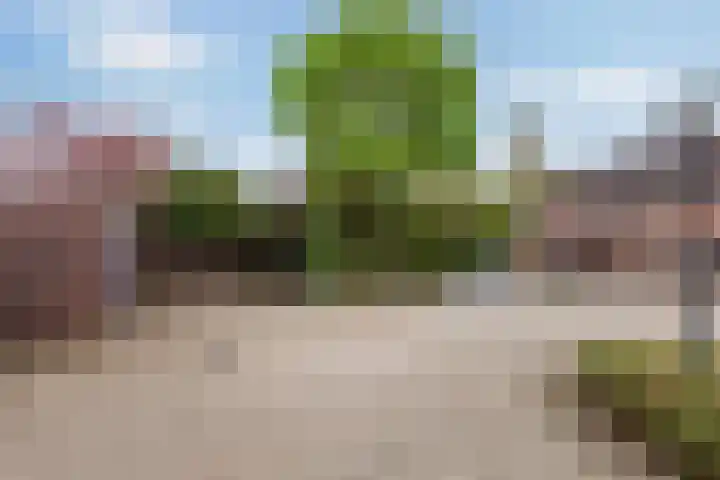 De Hofstede 12 Apeldoorn thumbnail 24