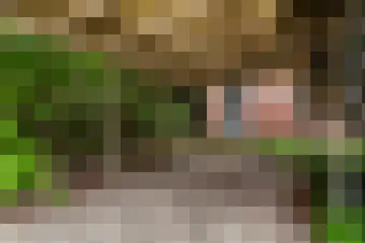De Hofstede 12 Apeldoorn thumbnail 27
