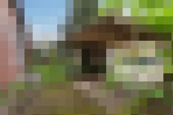 De Hofstede 12 Apeldoorn thumbnail 29