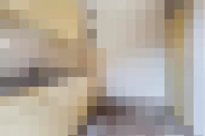 De Hofstede 12 Apeldoorn thumbnail 8