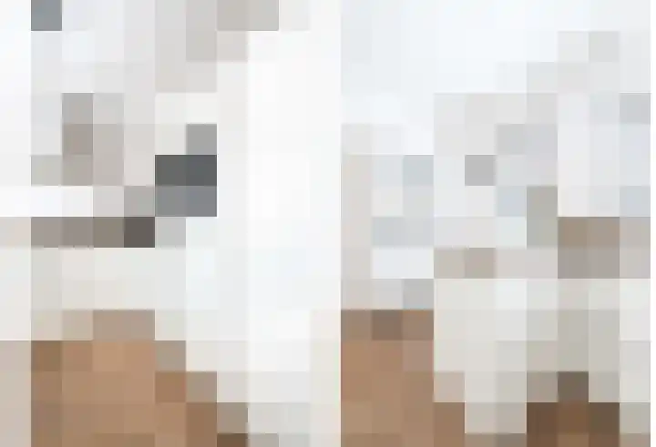 De Hofstede 17 Apeldoorn thumbnail 10