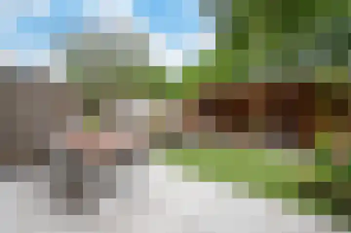 De Hofstede 17 Apeldoorn thumbnail 11