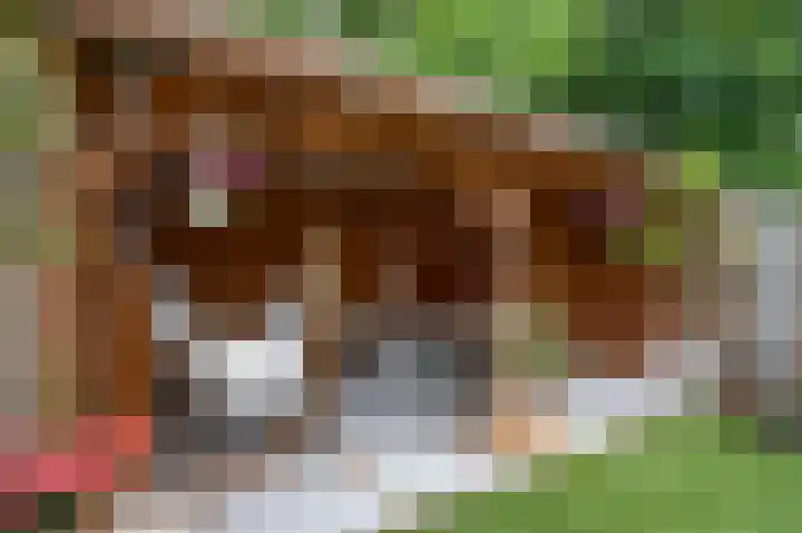 De Hofstede 17 Apeldoorn thumbnail 13