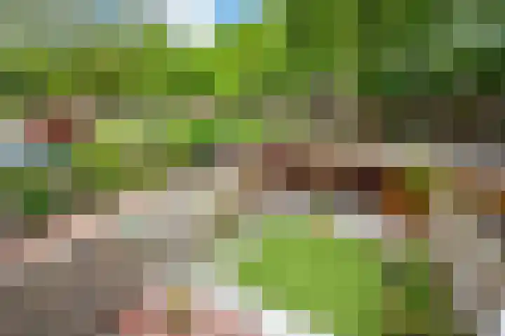 De Hofstede 17 Apeldoorn thumbnail 18