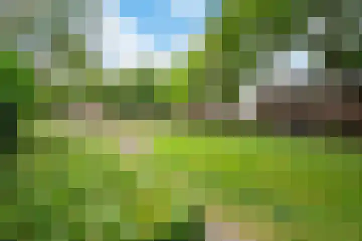 De Hofstede 17 Apeldoorn thumbnail 19