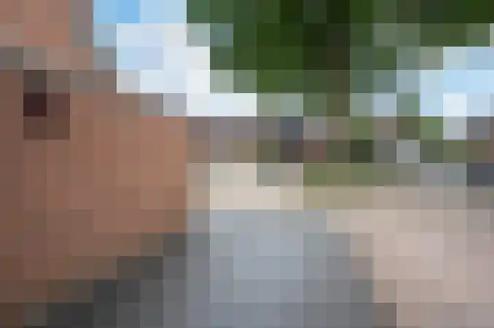 De Hofstede 17 Apeldoorn thumbnail 32