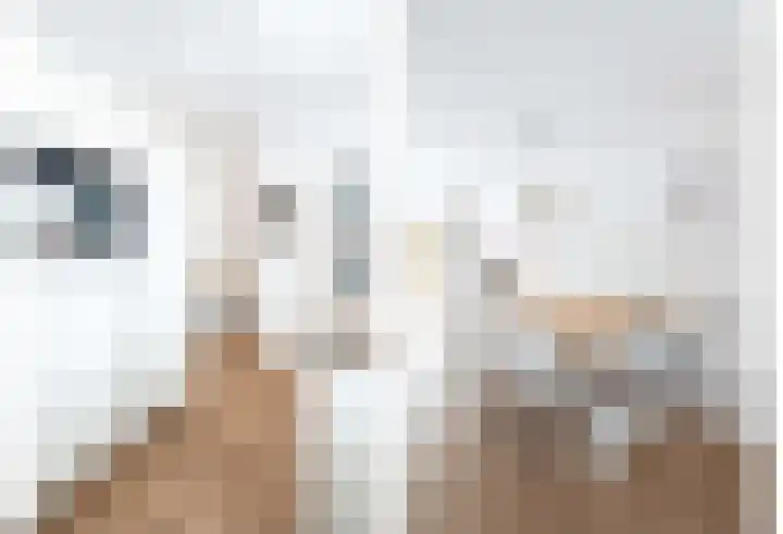 De Hofstede 17 Apeldoorn thumbnail 9