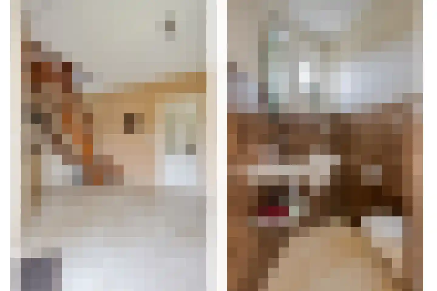 de Hofstede 47 Lienden thumbnail 11