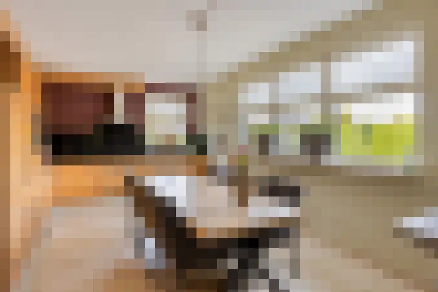 de Hofstede 47 Lienden thumbnail 20