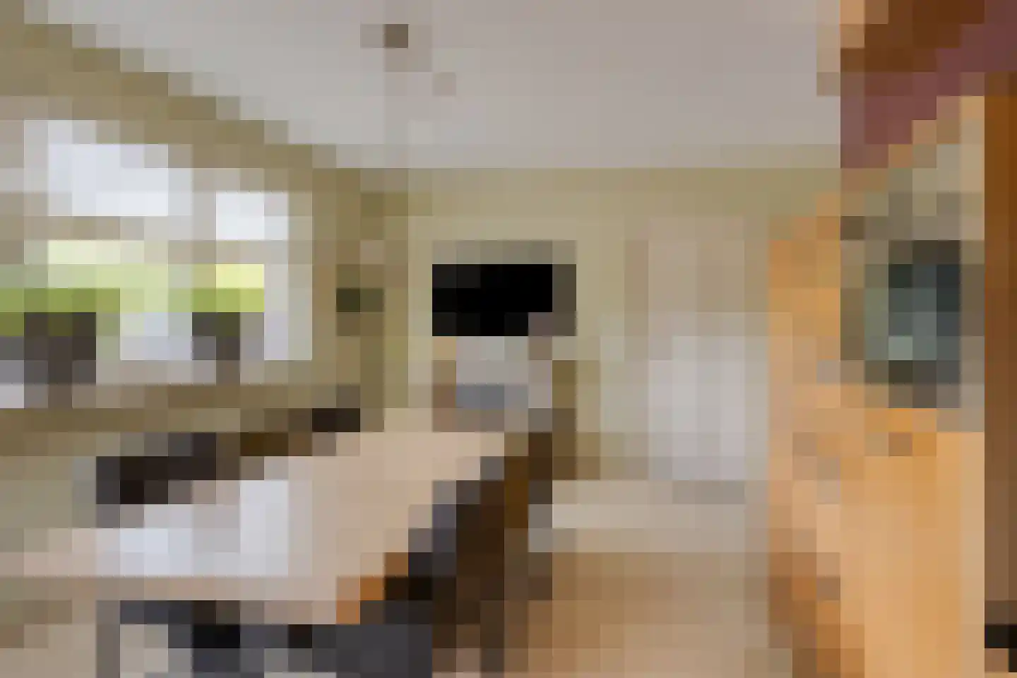 de Hofstede 47 Lienden thumbnail 22