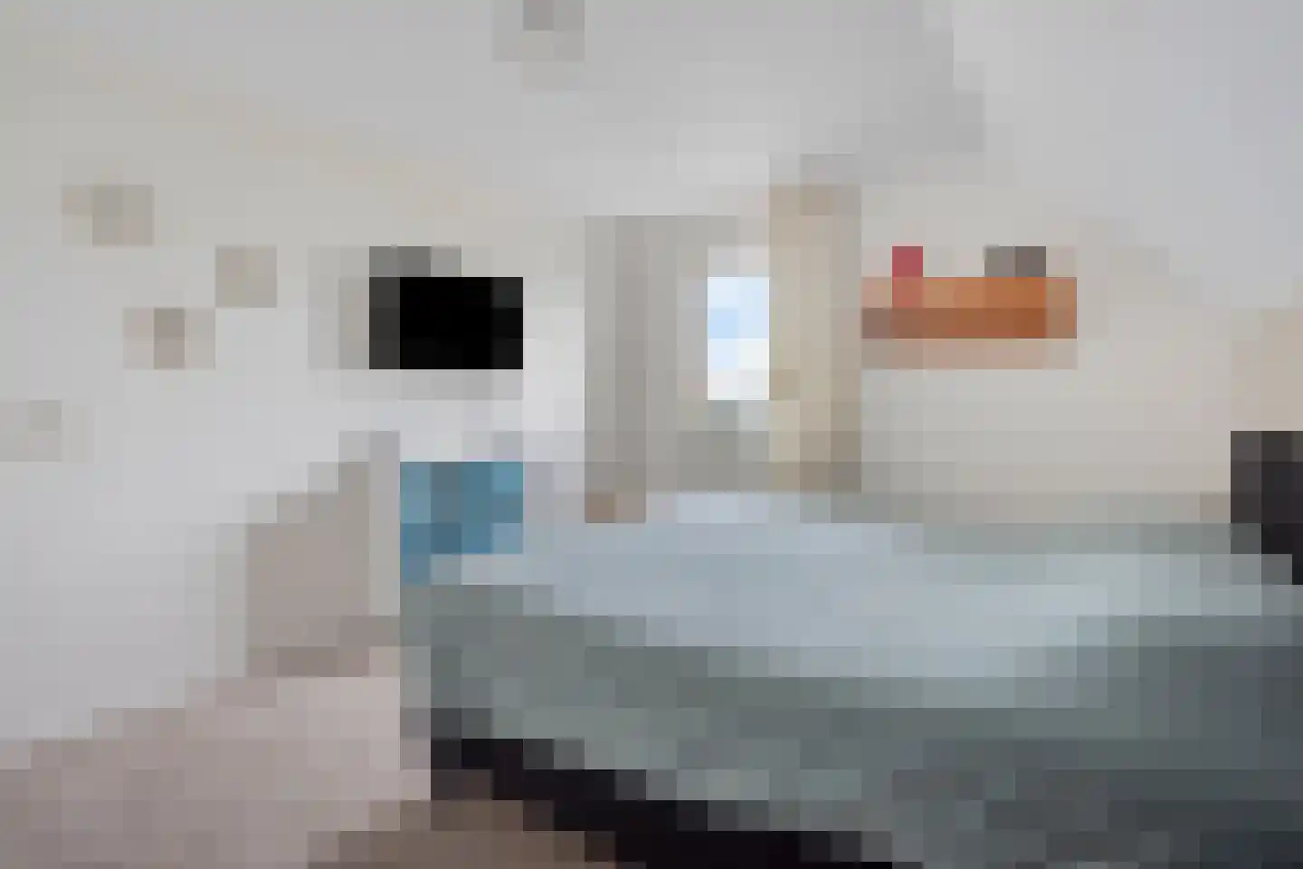 de Hofstede 47 Lienden thumbnail 31