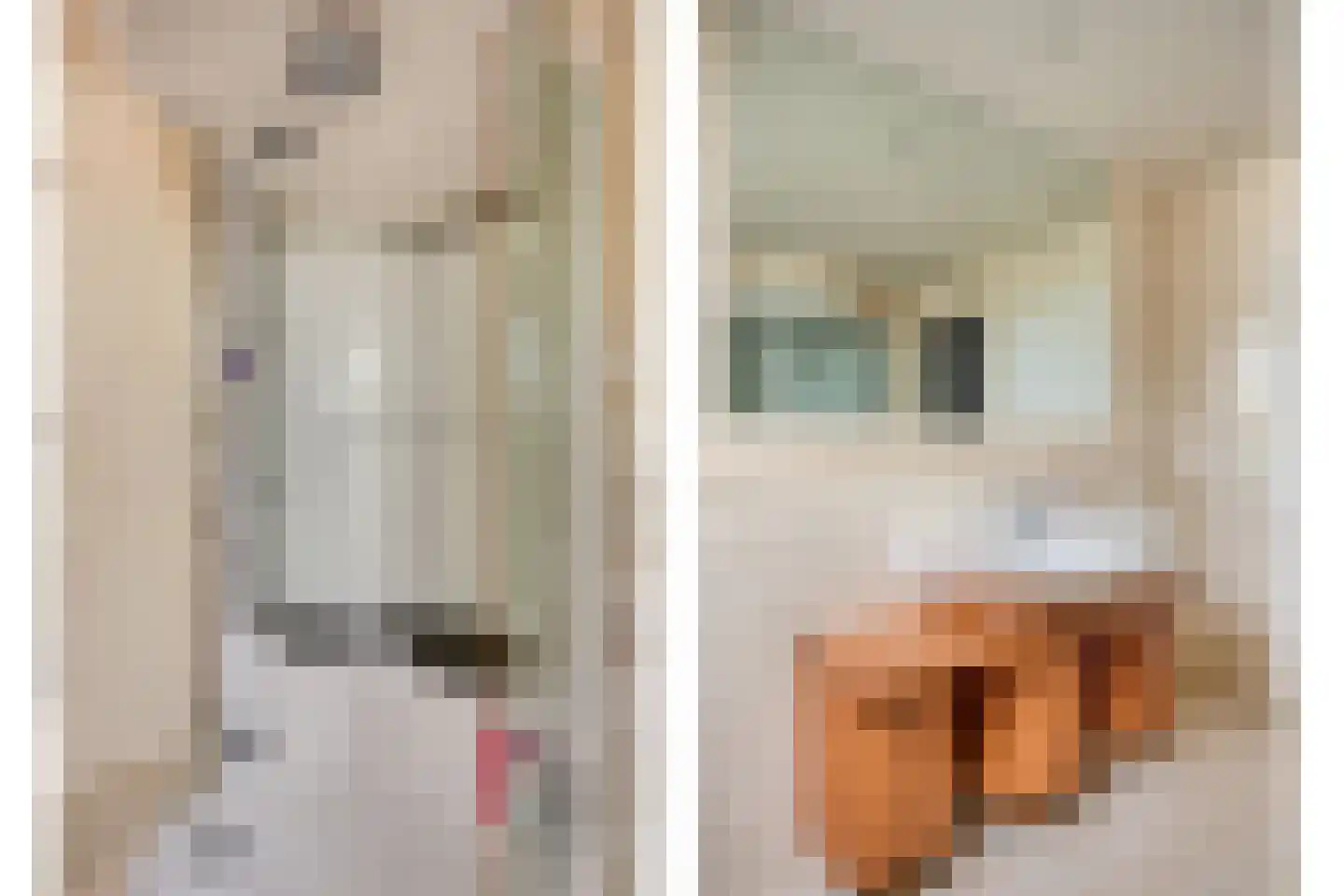 de Hofstede 47 Lienden thumbnail 36