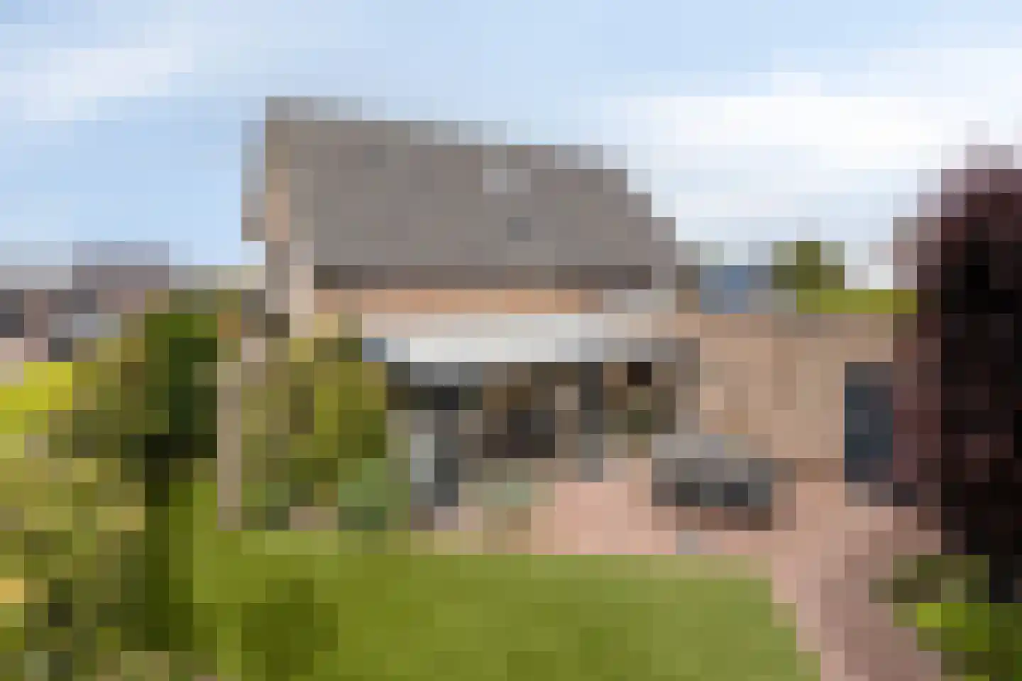 de Hofstede 47 Lienden thumbnail 46
