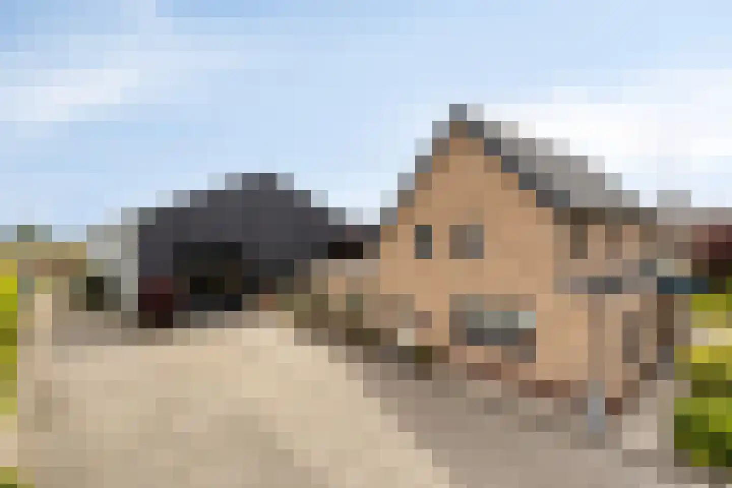 de Hofstede 47 Lienden thumbnail 52