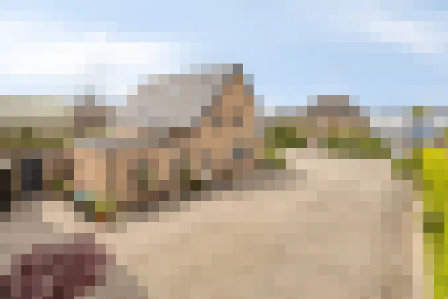 de Hofstede 47 Lienden thumbnail 53