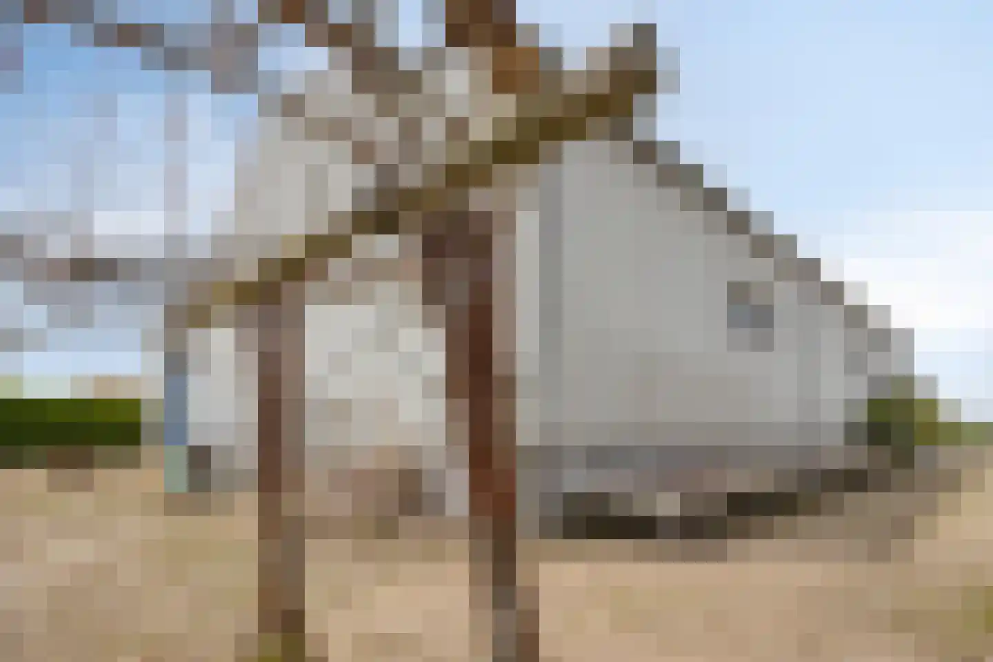 de Hofstede 47 Lienden thumbnail 70