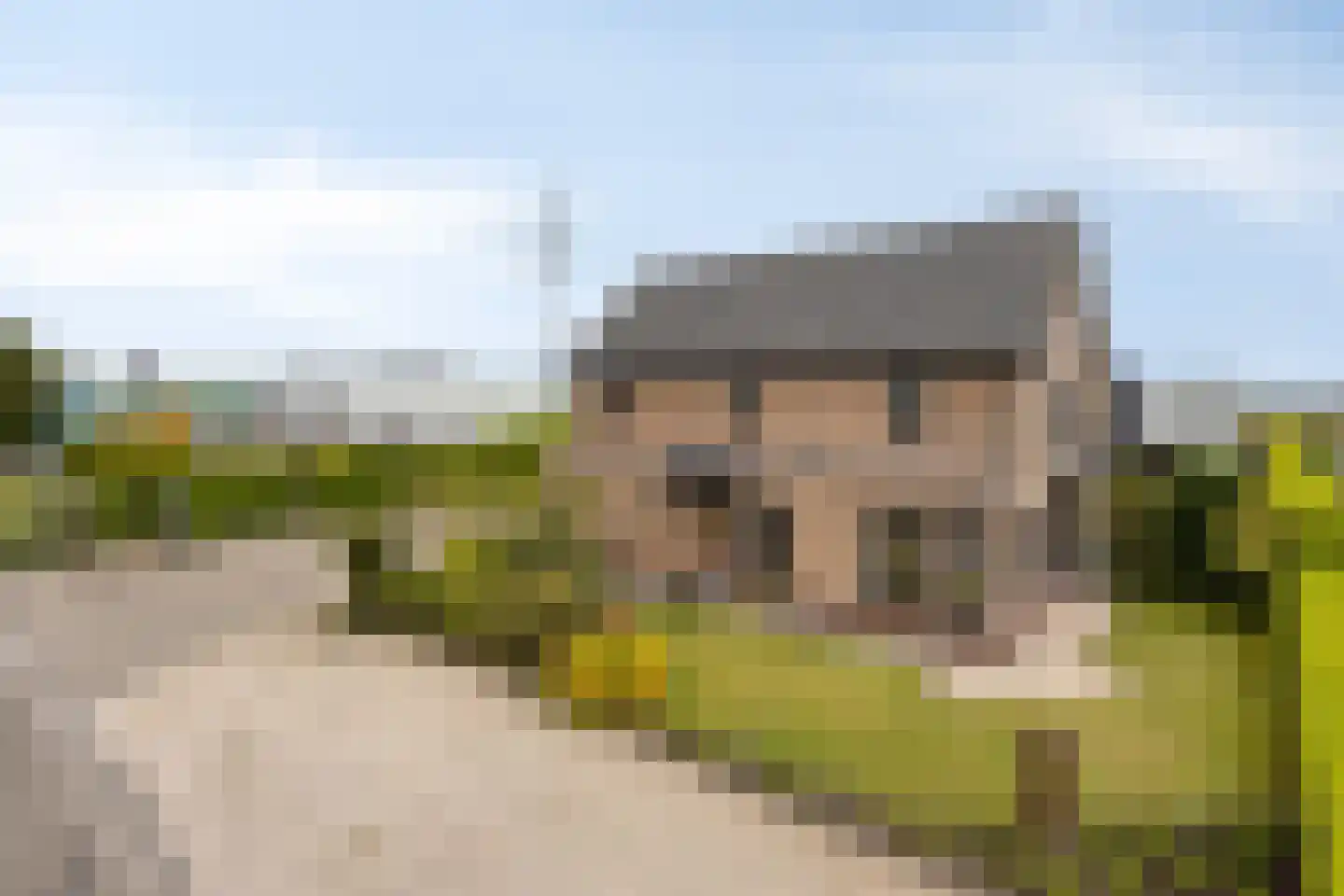 de Hofstede 47 Lienden thumbnail 9