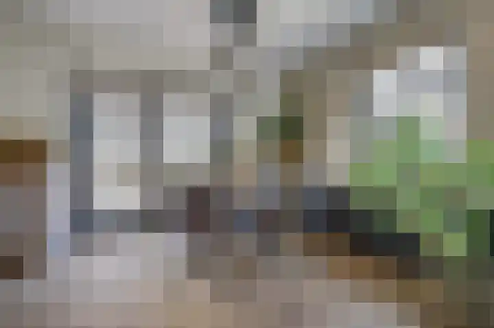 de Hofstede 7 a Lienden thumbnail 13