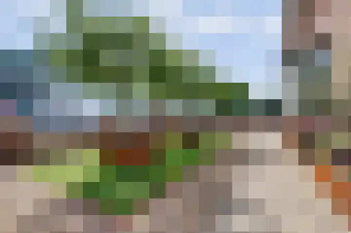 de Hofstede 7 a Lienden thumbnail 38