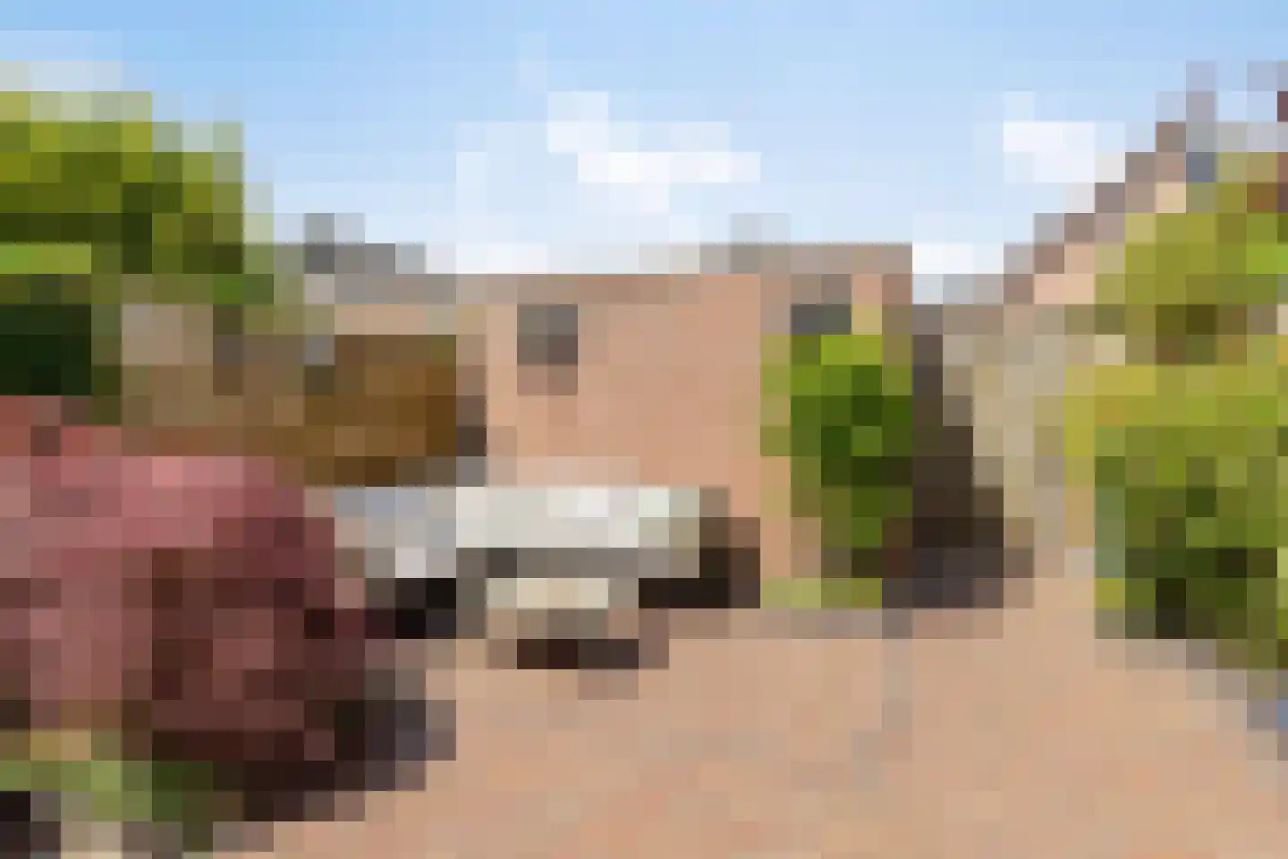 De Hofstede 8 Apeldoorn thumbnail 36
