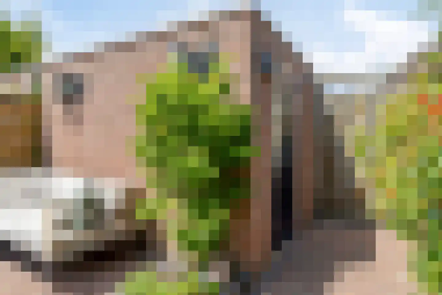 De Hofstede 8 Apeldoorn thumbnail 38