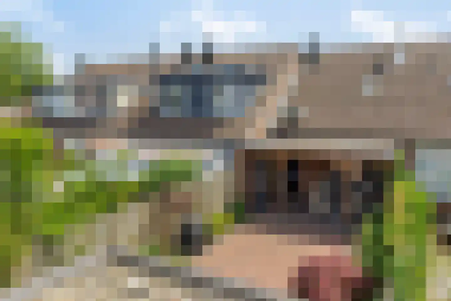De Hofstede 8 Apeldoorn thumbnail 43