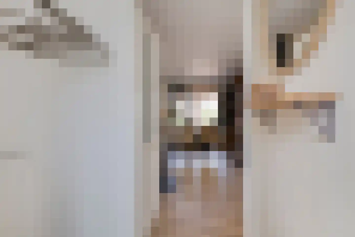 De Hofstede 8 Apeldoorn thumbnail 6