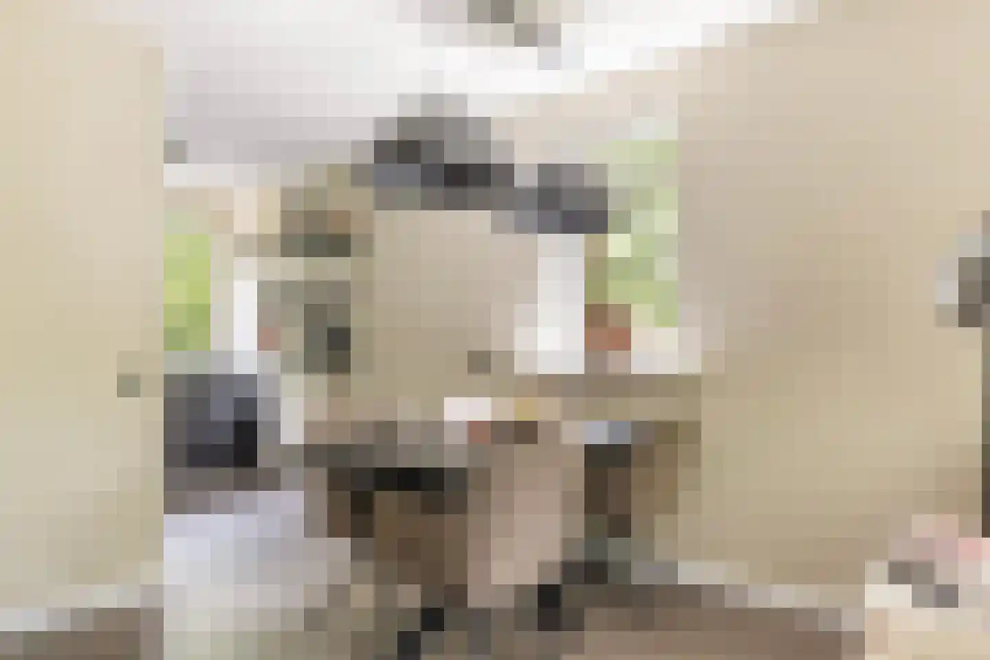 De Hofstede 81 Apeldoorn thumbnail 11