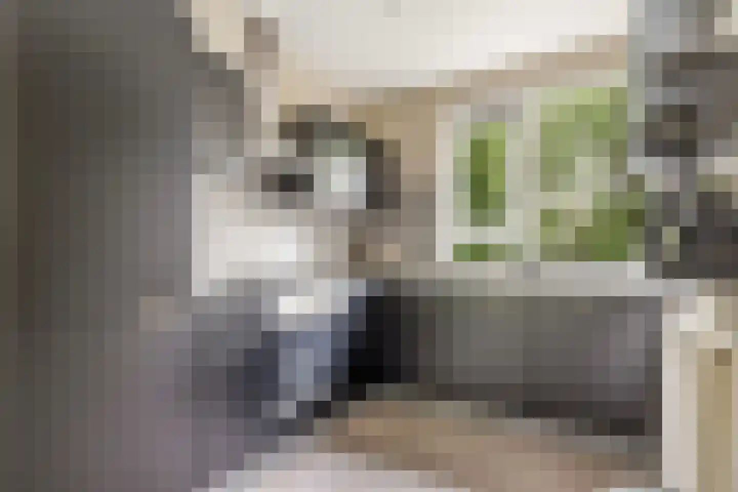 De Hofstede 81 Apeldoorn thumbnail 13