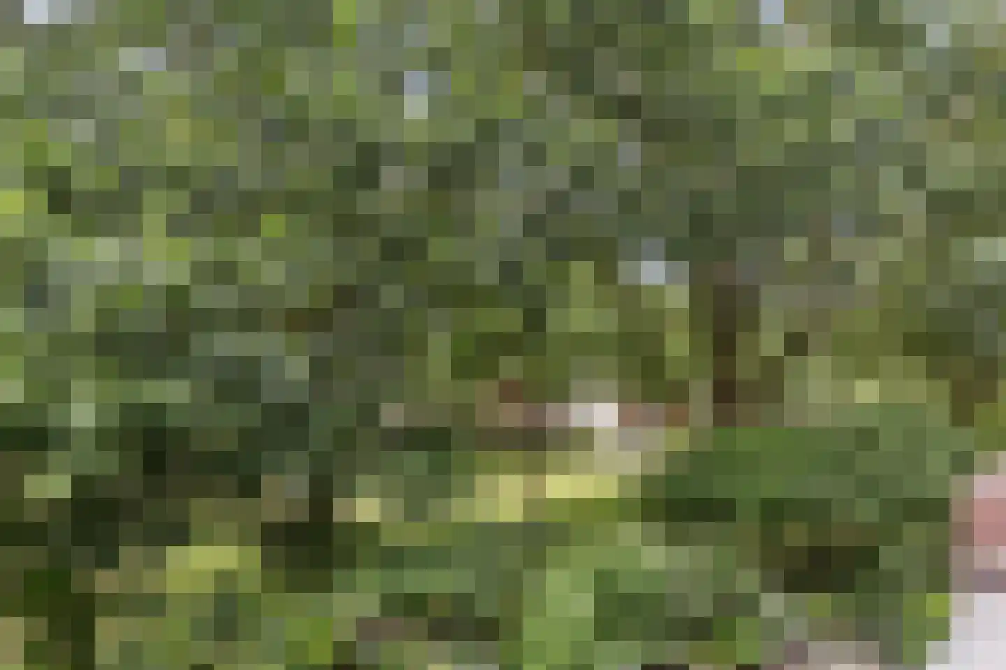 De Hofstede 81 Apeldoorn thumbnail 15