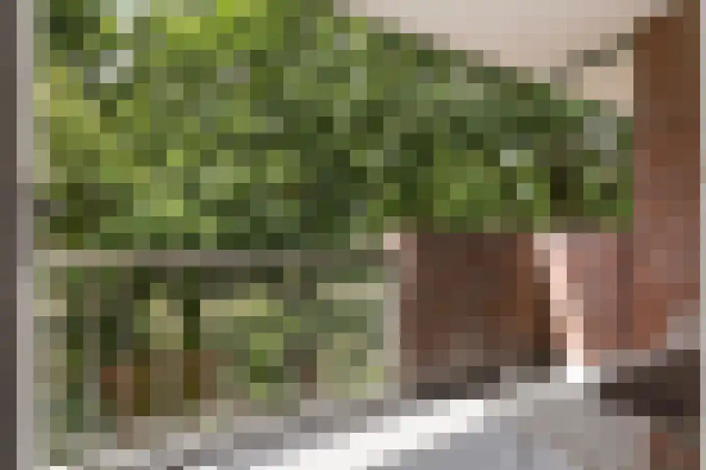 De Hofstede 81 Apeldoorn thumbnail 21