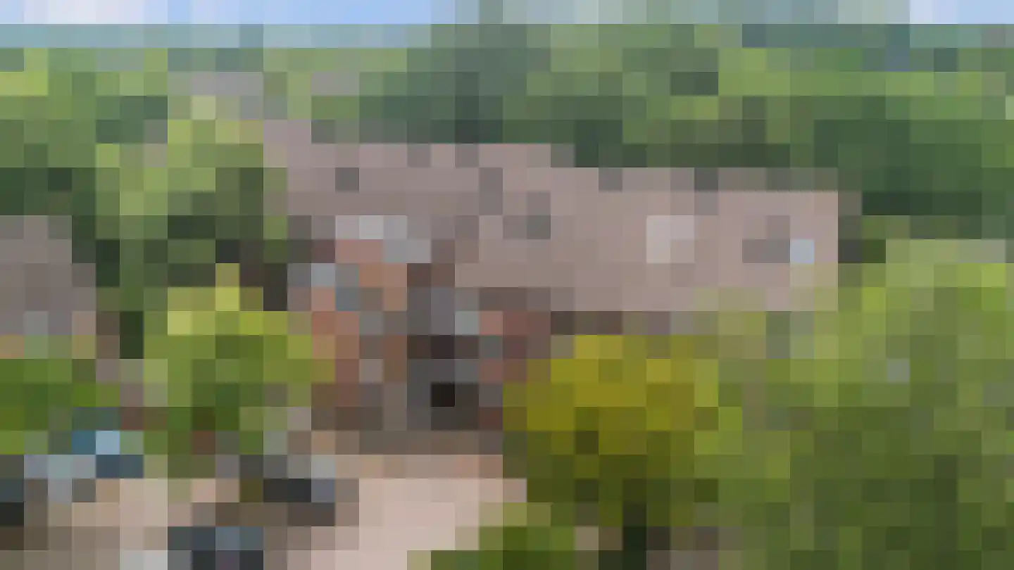 De Hofstede 81 Apeldoorn thumbnail 27