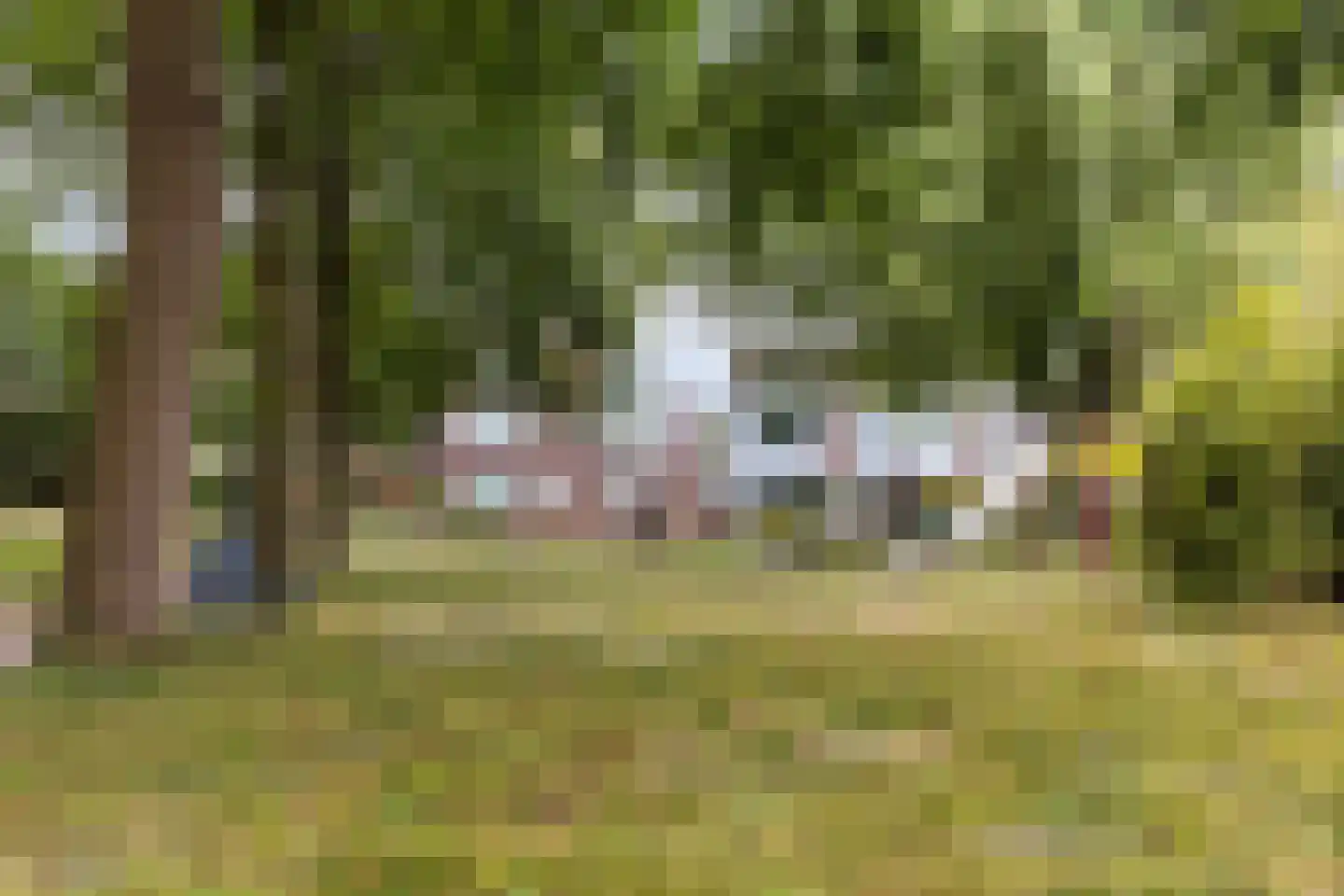 De Hofstede 81 Apeldoorn thumbnail 29