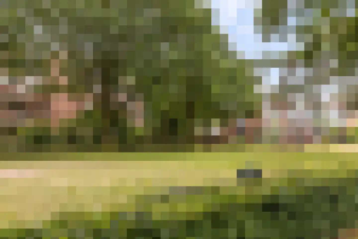 De Hofstede 81 Apeldoorn thumbnail 30