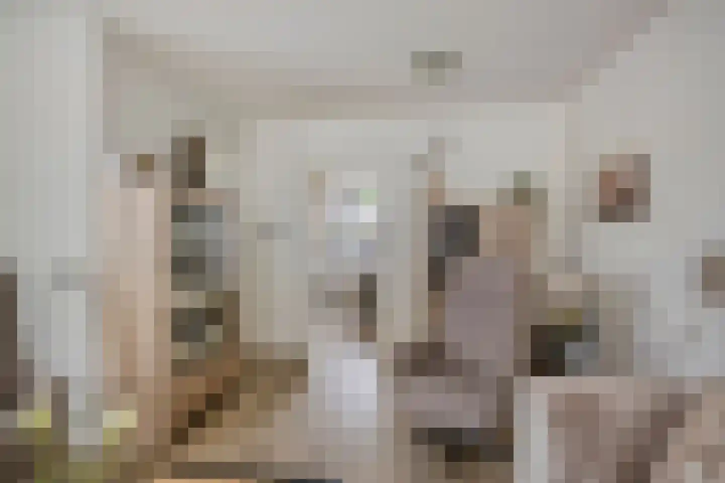 De Hofstee 104 Rijssen thumbnail 14