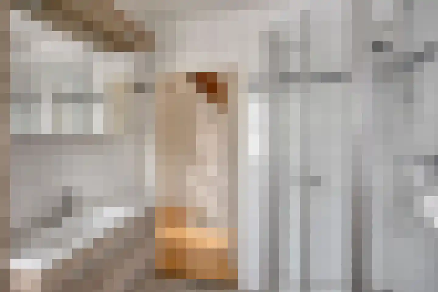 De Hofstee 104 Rijssen thumbnail 26