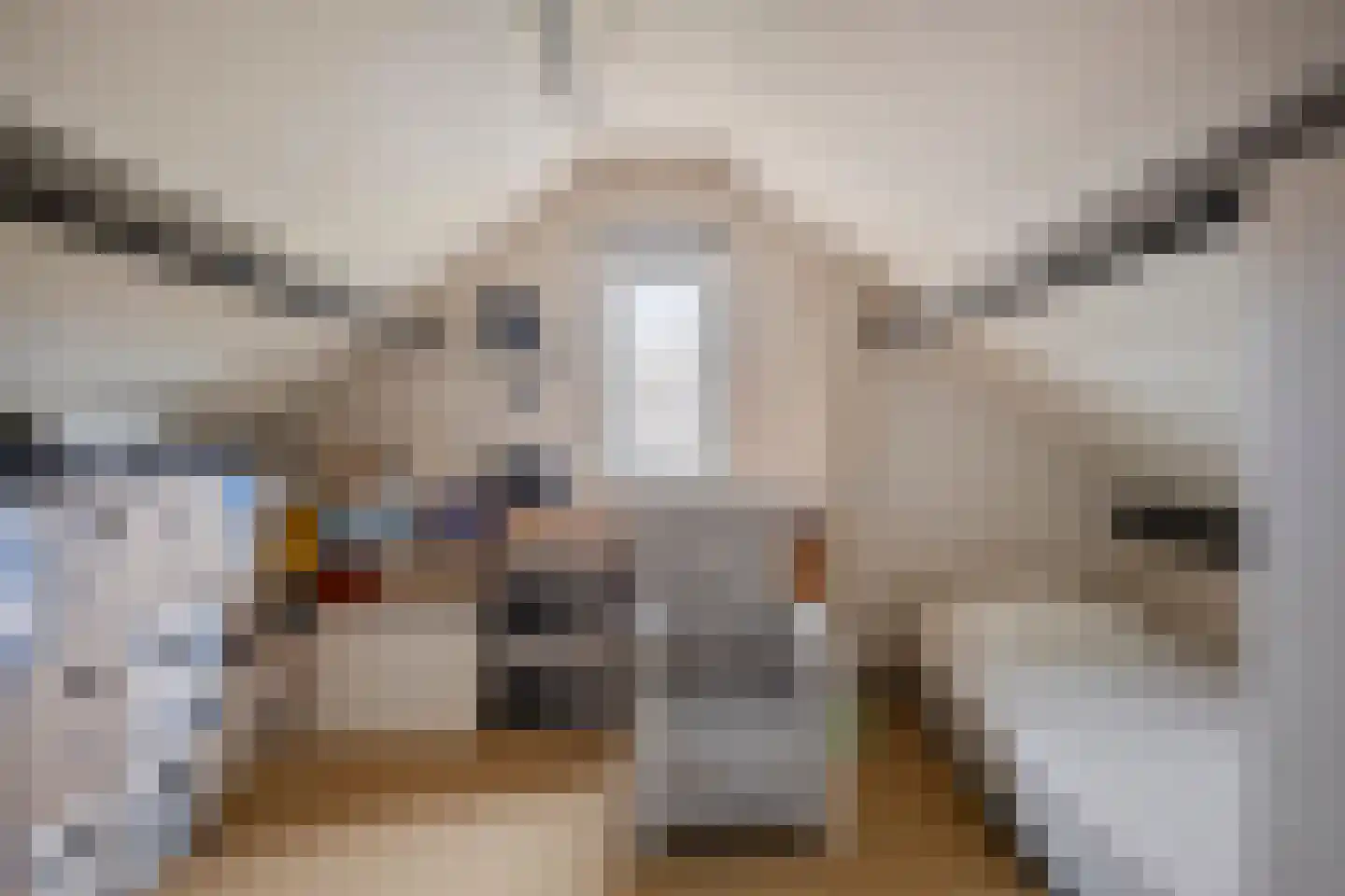 De Hofstee 104 Rijssen thumbnail 34