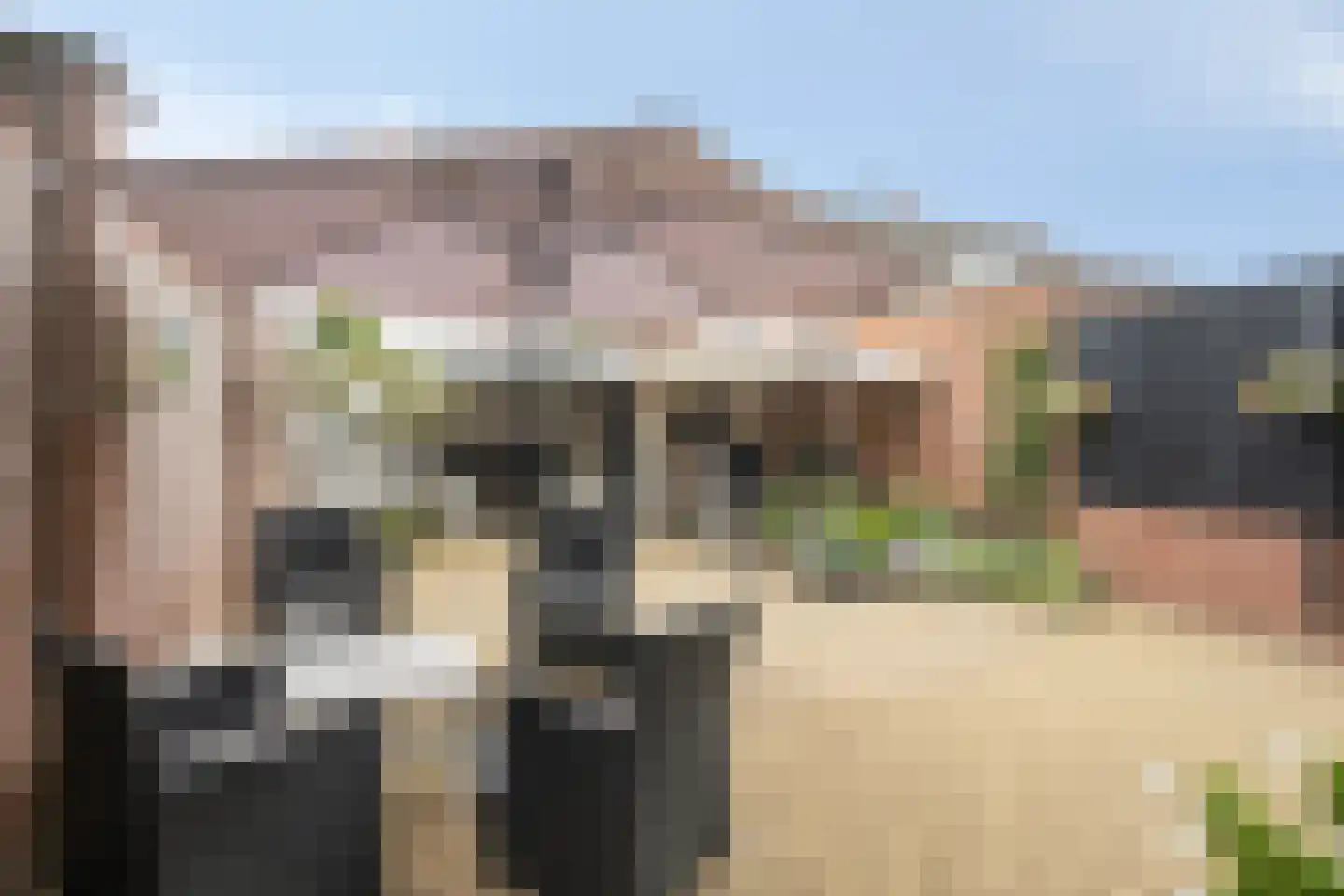 De Hofstee 104 Rijssen thumbnail 37