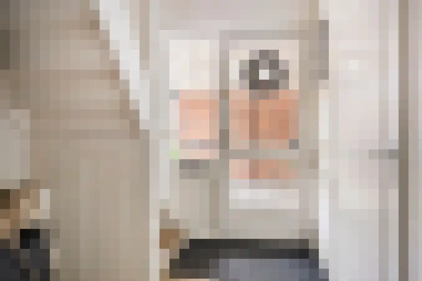 De Hofstee 104 Rijssen thumbnail 6