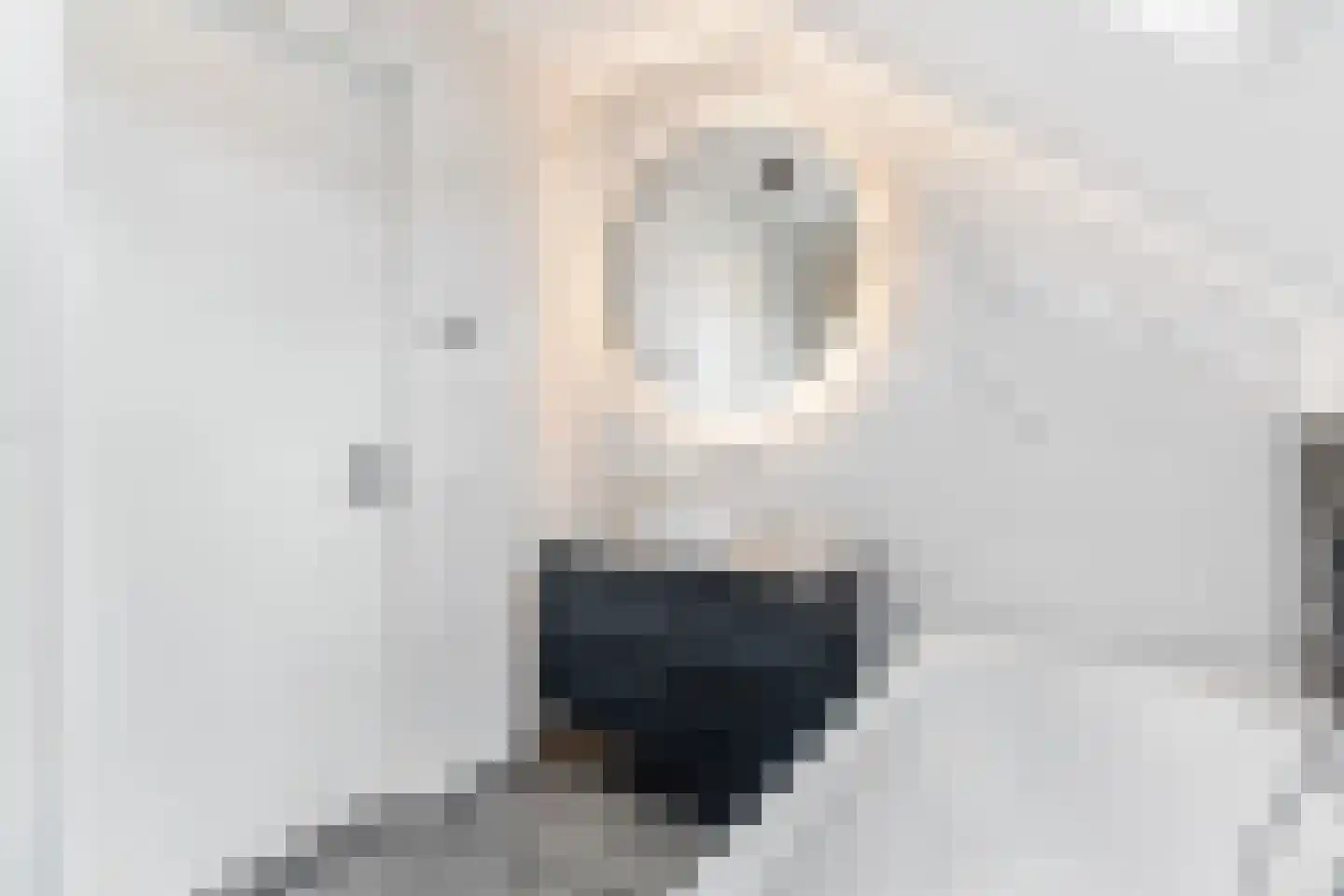 De Hofstee 12 Nijkerk thumbnail 32