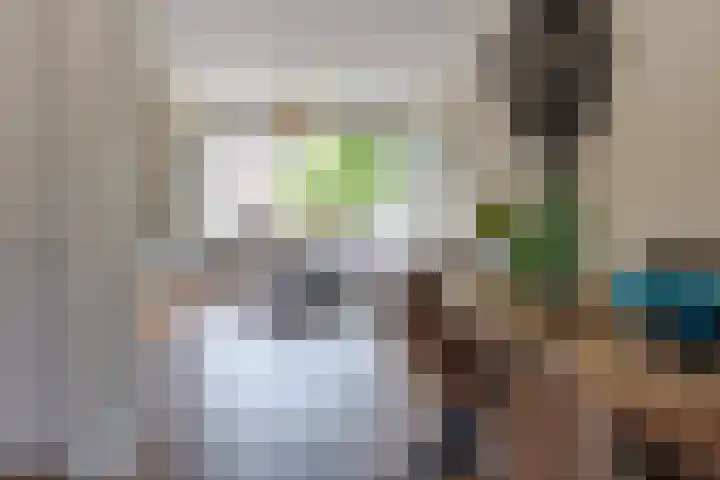 De Hofstee 13 Heiloo thumbnail 11