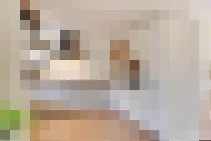 De Hofstee 13 Heiloo thumbnail 17