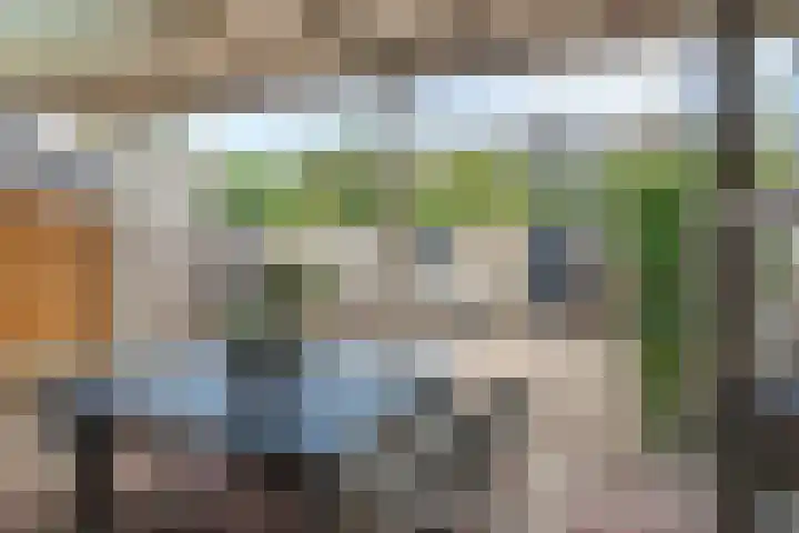De Hofstee 13 Heiloo thumbnail 20