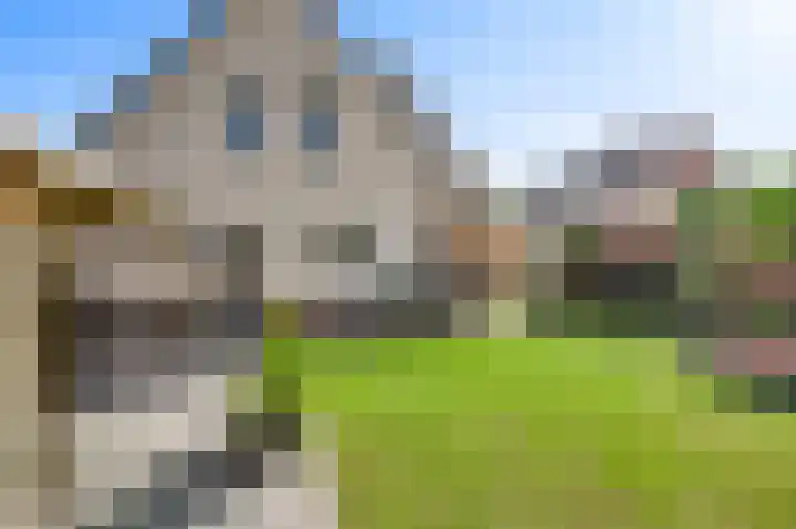 De Hofstee 13 Heiloo thumbnail 21