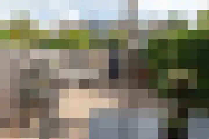 De Hofstee 13 Heiloo thumbnail 35