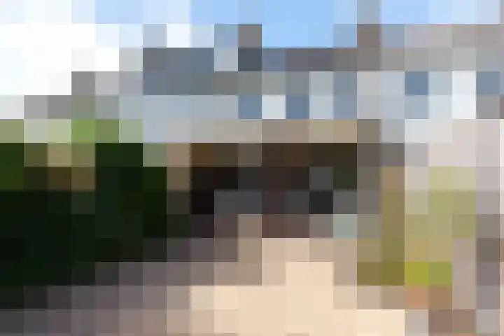 De Hofstee 13 Heiloo thumbnail 37