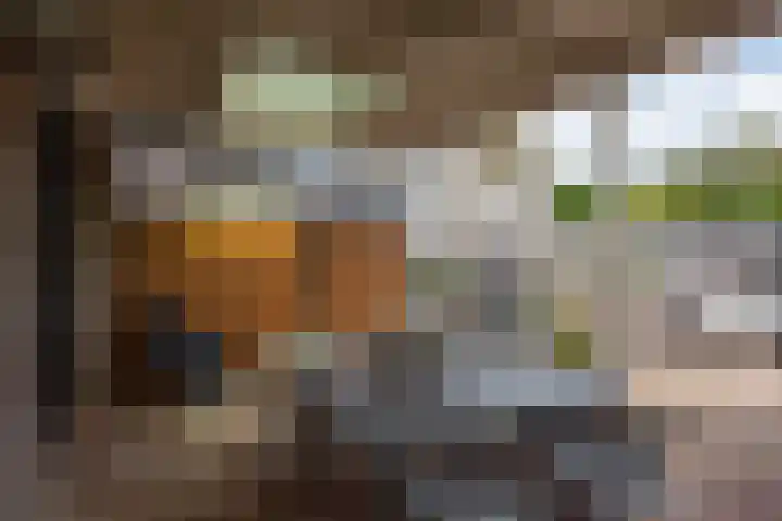 De Hofstee 13 Heiloo thumbnail 41