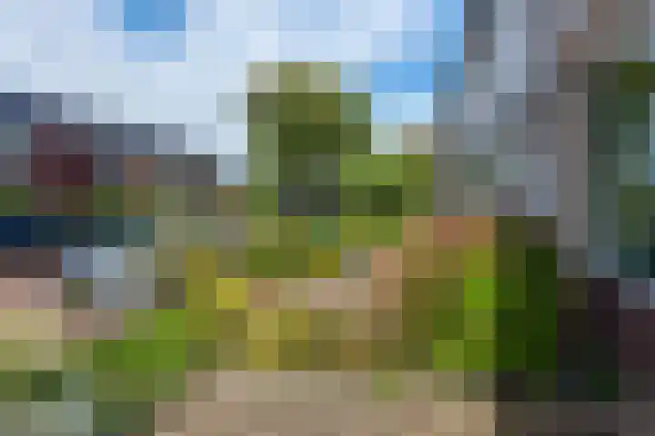 De Hofstee 13 Heiloo thumbnail 46