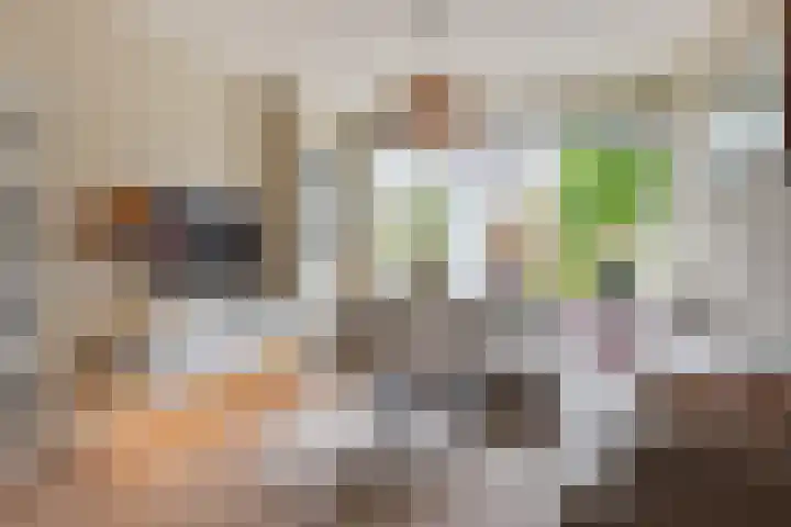 De Hofstee 13 Heiloo thumbnail 7
