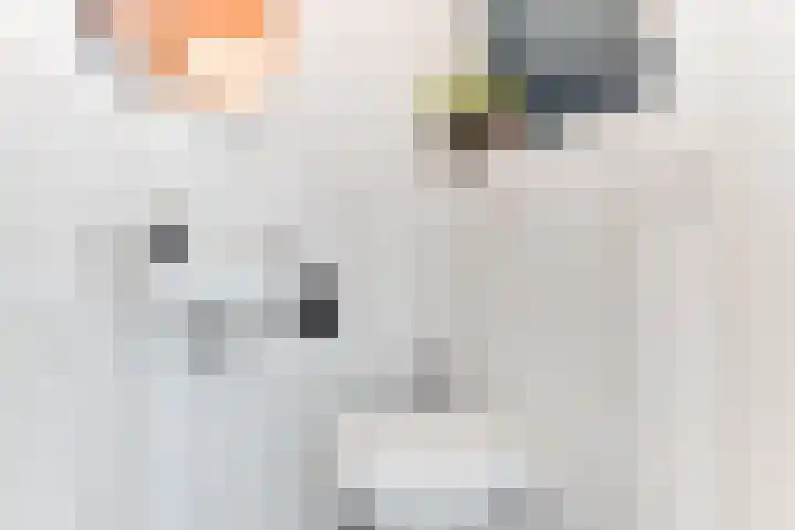 De Hofstee 18 Heiloo thumbnail 18